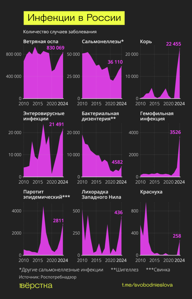 В России в 2024 году зафиксировали рекордное число заболеваний корью, краснухой и ветрянкой