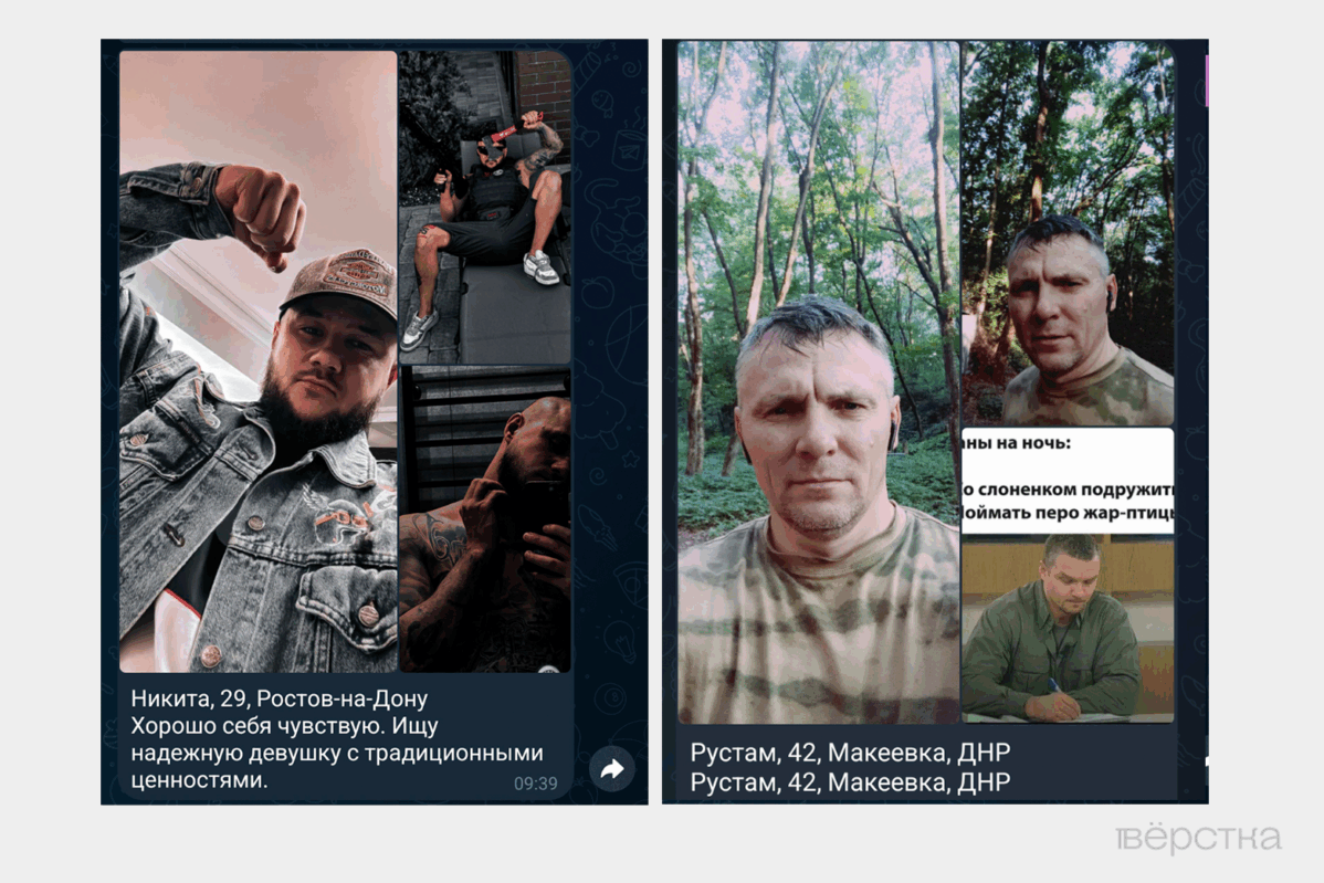 Анкета пользователя бота знакомств «Наташки и&nbsp;Степашки», созданного ультраправым Z-блогером Владиславом Поздняковым&nbsp;— консервативной альтернативы Tinder