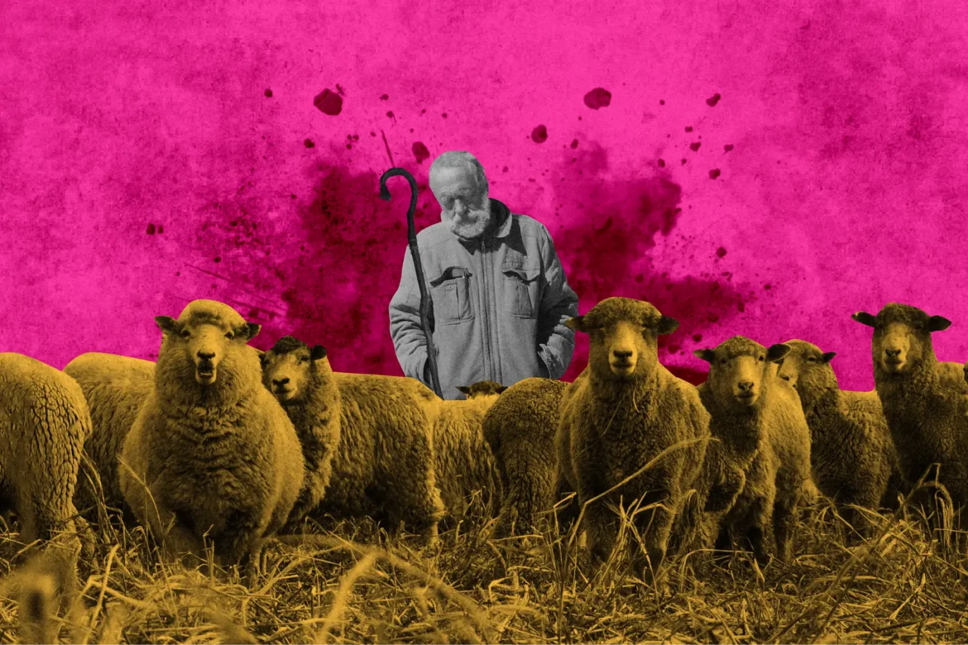 На четвёртый год войны с Украиной среди заключивших контракт с Минобороны стало значительно больше людей старше 60 лет