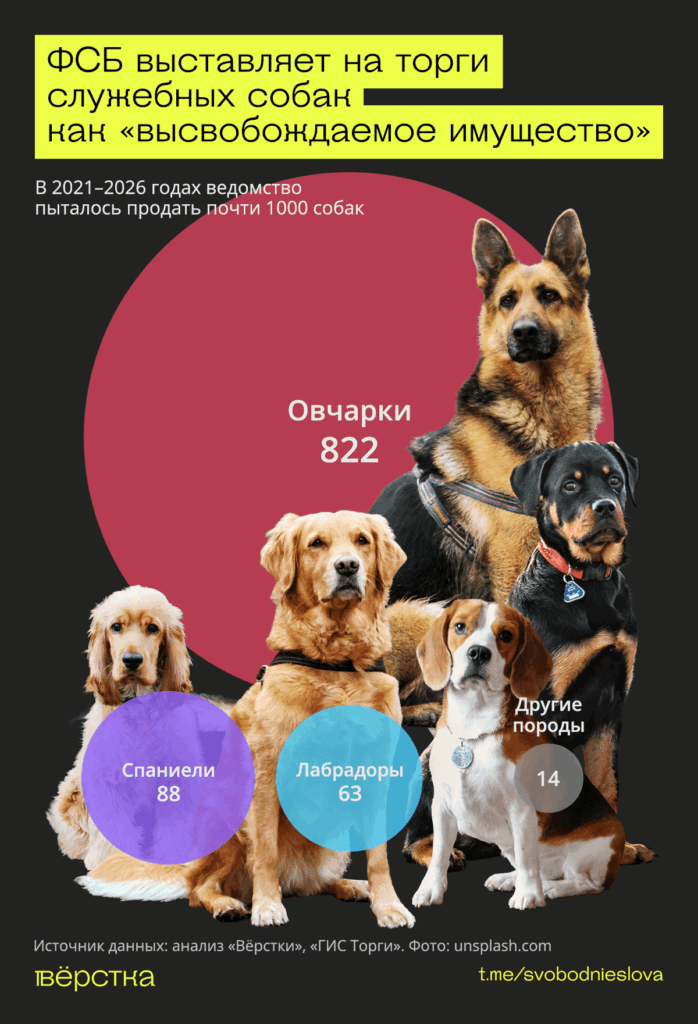 ФСБ продает «выбракованных» служебных собак вместе со&nbsp;списанным имуществом, на&nbsp;торги выставили тысячу животных<br />

