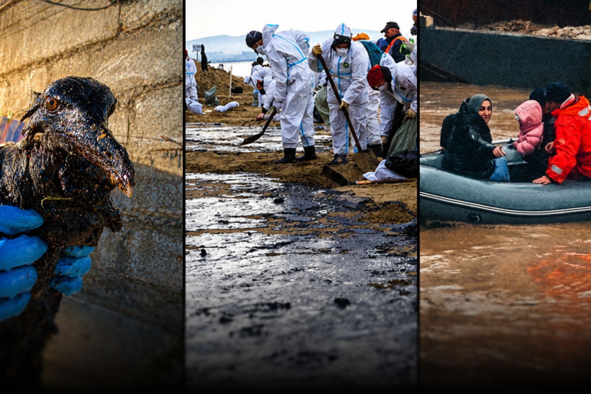 Нефтяной дождь в Туапсе, наводнение в Дагестане, разлив нефти в Анапе, аномальные снегопады на Камчатке