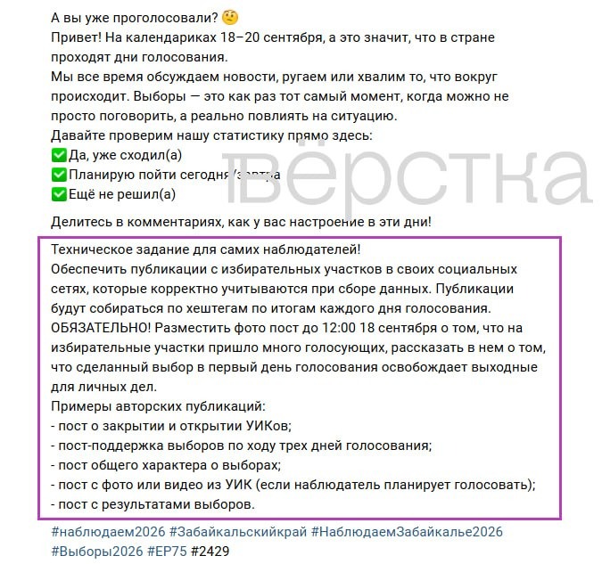 Провластные наблюдатели массово отчитались о «высокой активности» на избирательных участках